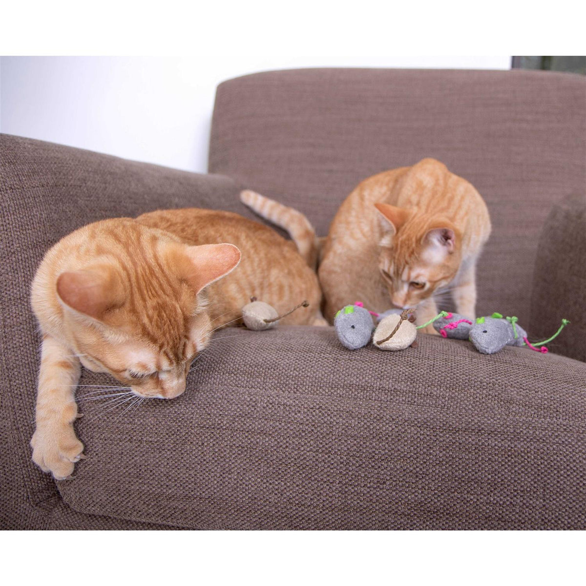 Catnip Cat Toys U10735