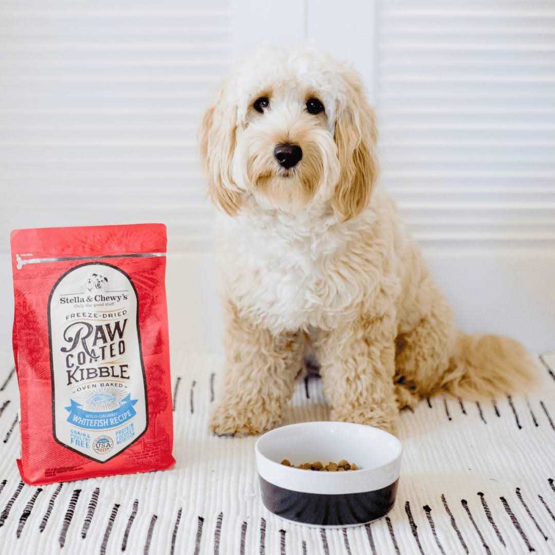 Raw Coated Dog Kibble Whitefish O802