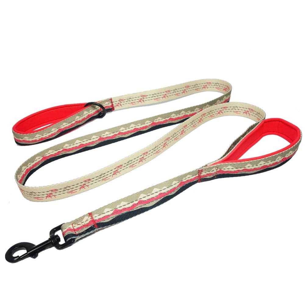 6ft Dog Leash Padded Handle B28052