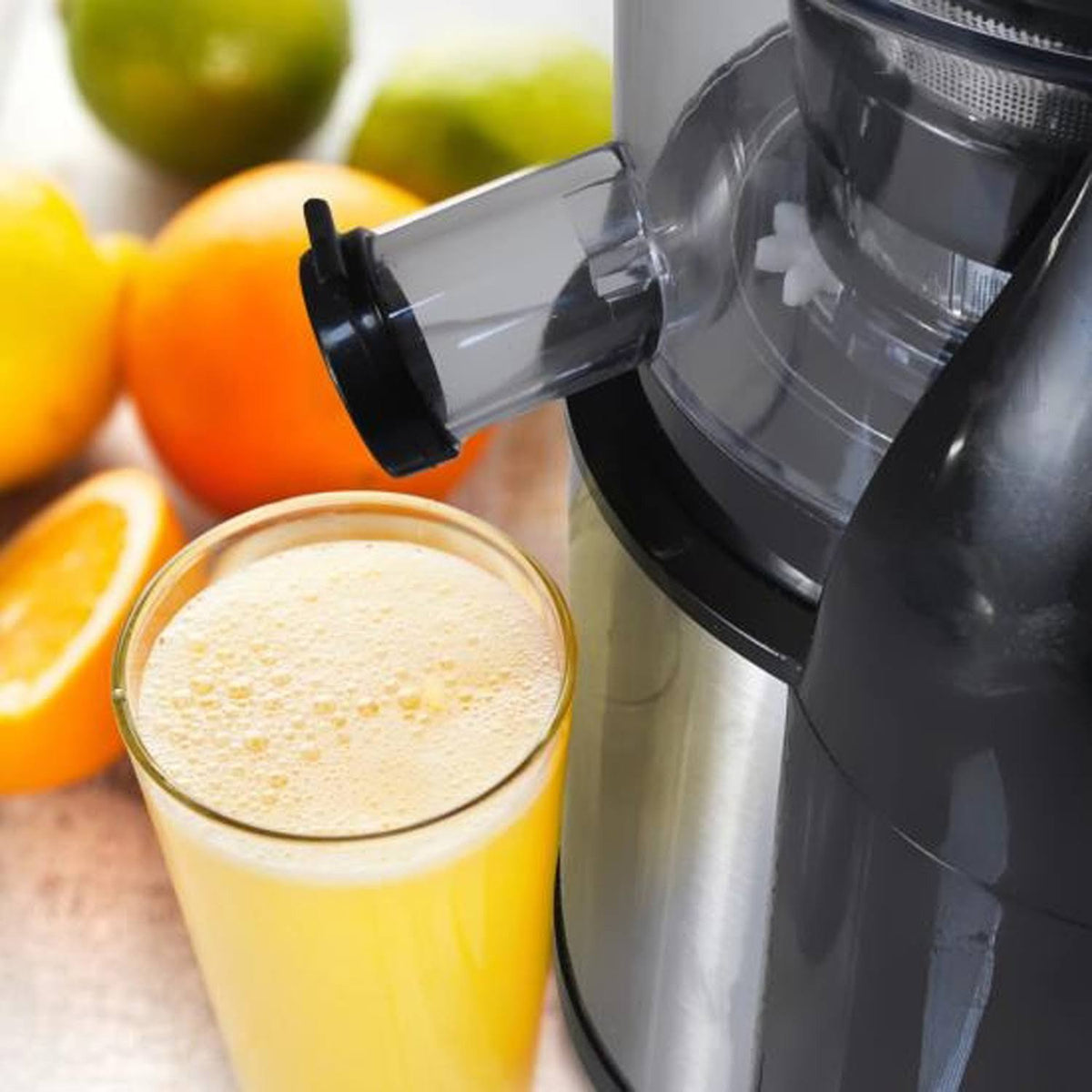 Countertop Masticating Slow Juicer R6286