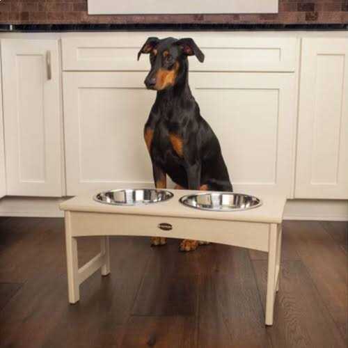 Pet Feeder B5049