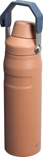 Insulated Stainless Steel Water Bottle with Angled Spout Lid Q9948