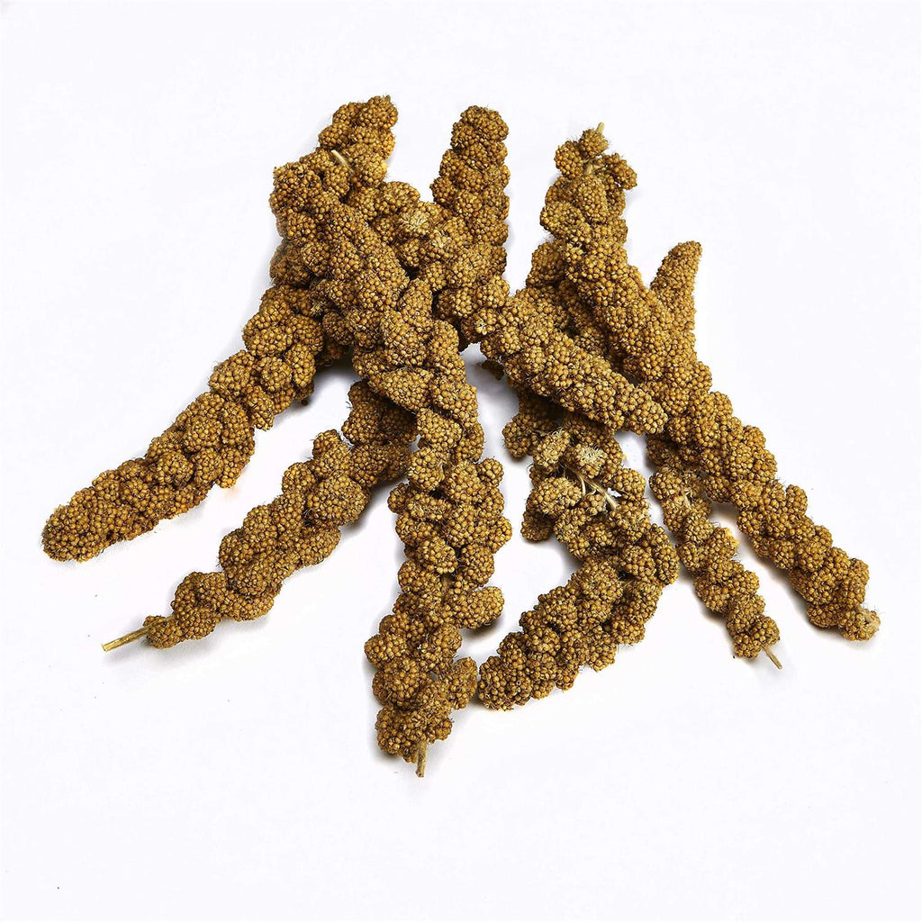 Spray Millet N5243