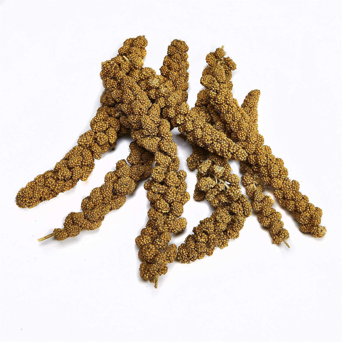 Spray Millet N5243
