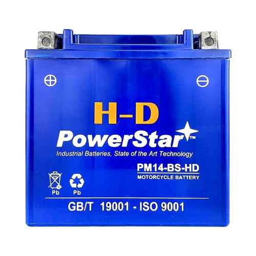 12V 14Ah Battery for Triumph 955 cc 2002 Tiger Motorcycle D5930