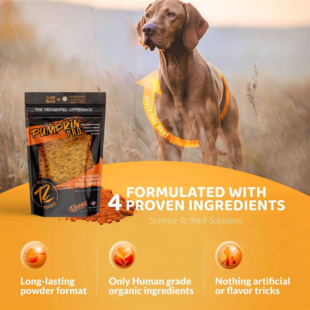 Pumpkin Dog Food Topper B305