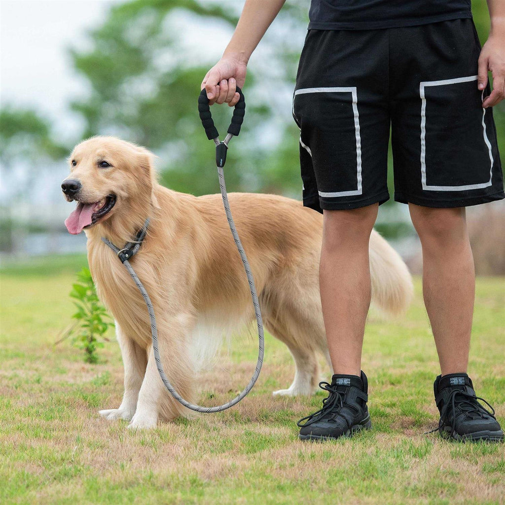6 FT Durable Slip Lead Dog Leash with Zipper Pouch K205