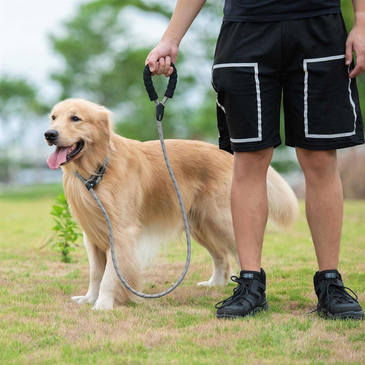 6 FT Durable Slip Lead Dog Leash with Zipper Pouch K205