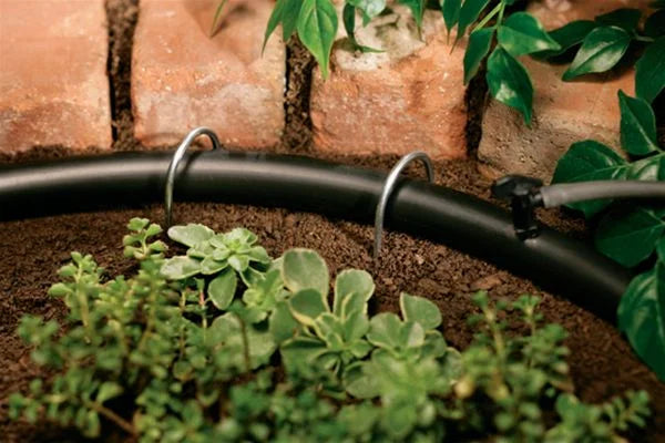 50ft x 1/2" Drip Irrigation Distribution Tubing N500605