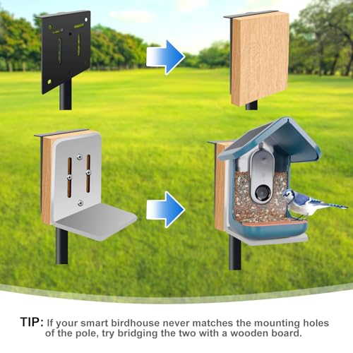 80In Bird House Pole, Heavy Duty with 5-Prong Base S3230