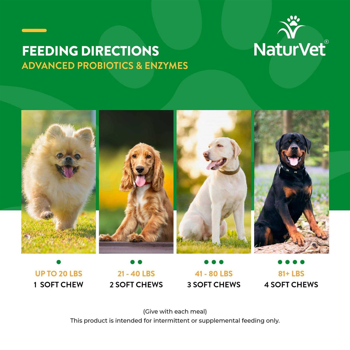 Probiotics & Enzymes Soft Chews I7609