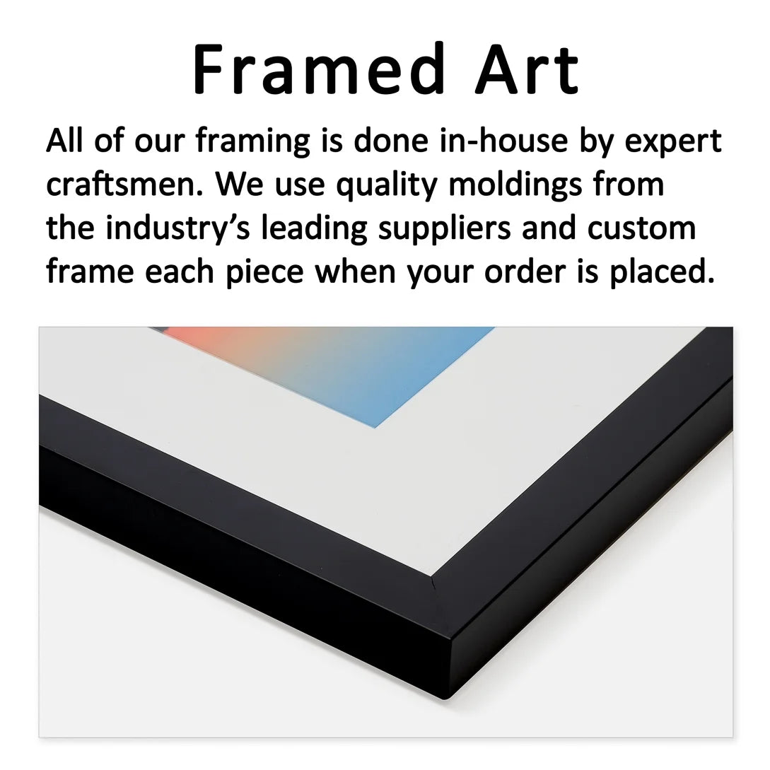 Framed Print D23989