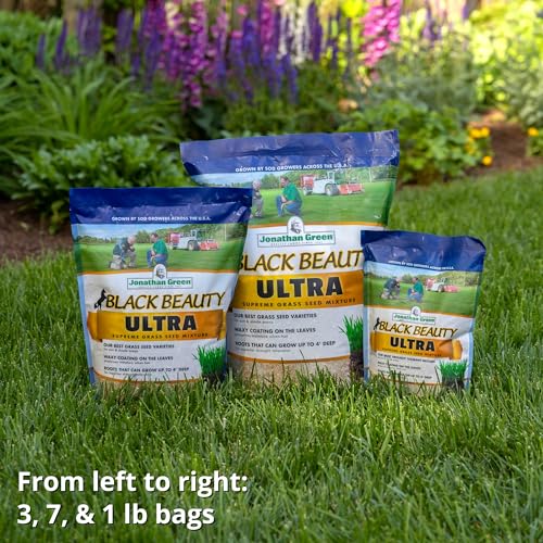 Black Beauty Ultra Grass Seed Cool Season Lawn Seed 25 lb Z1637