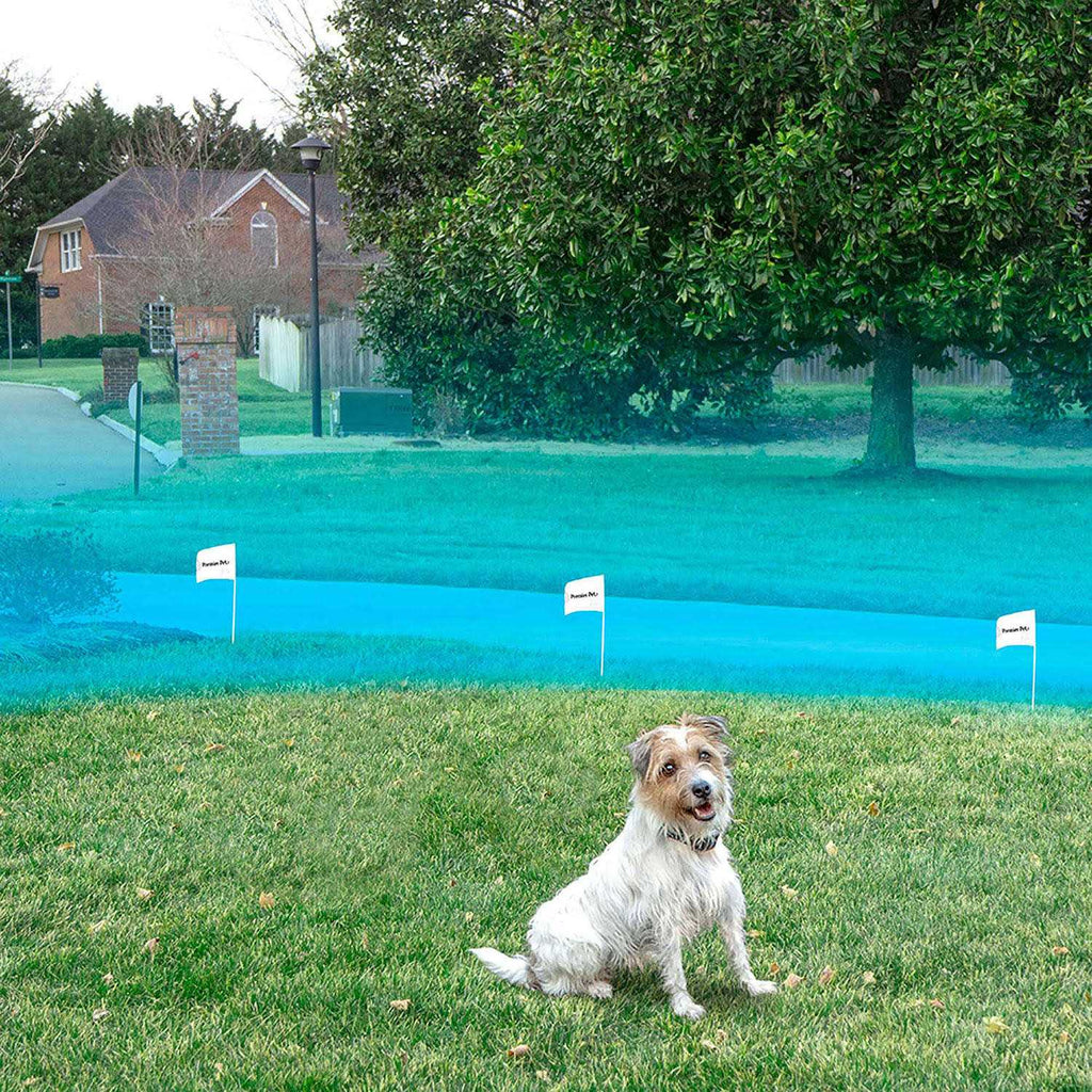 Wireless Pet Fence T439516