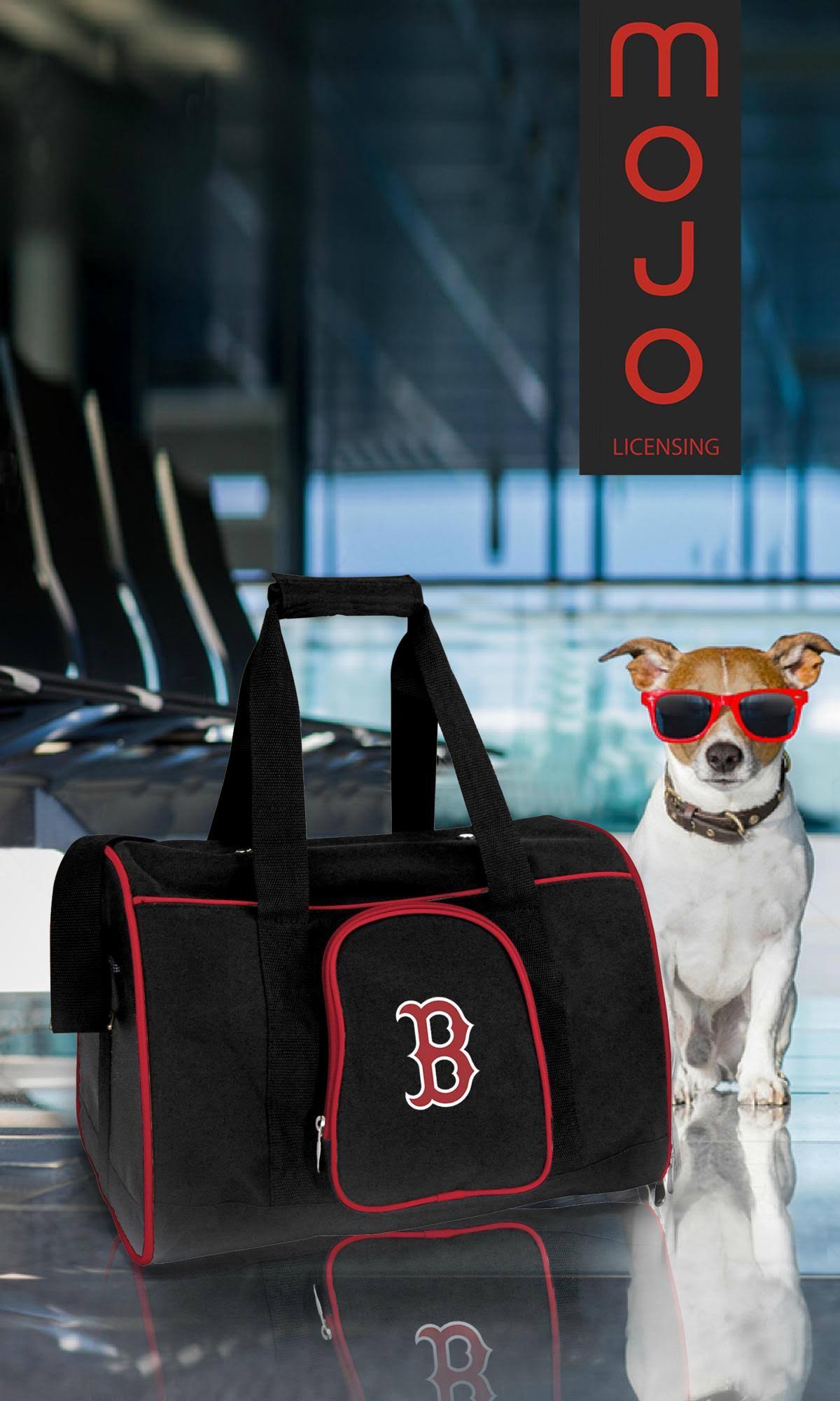 Premium Pet Carrier B11342