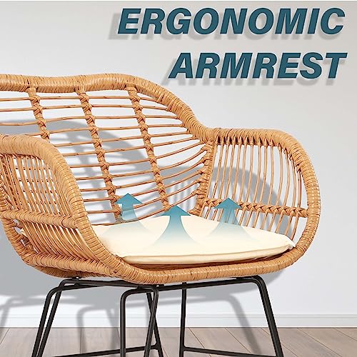 3 Piece Wicker Patio Set B986