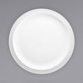 Bright White Stoneware Narrow Rim Plate - 24/Case R484079
