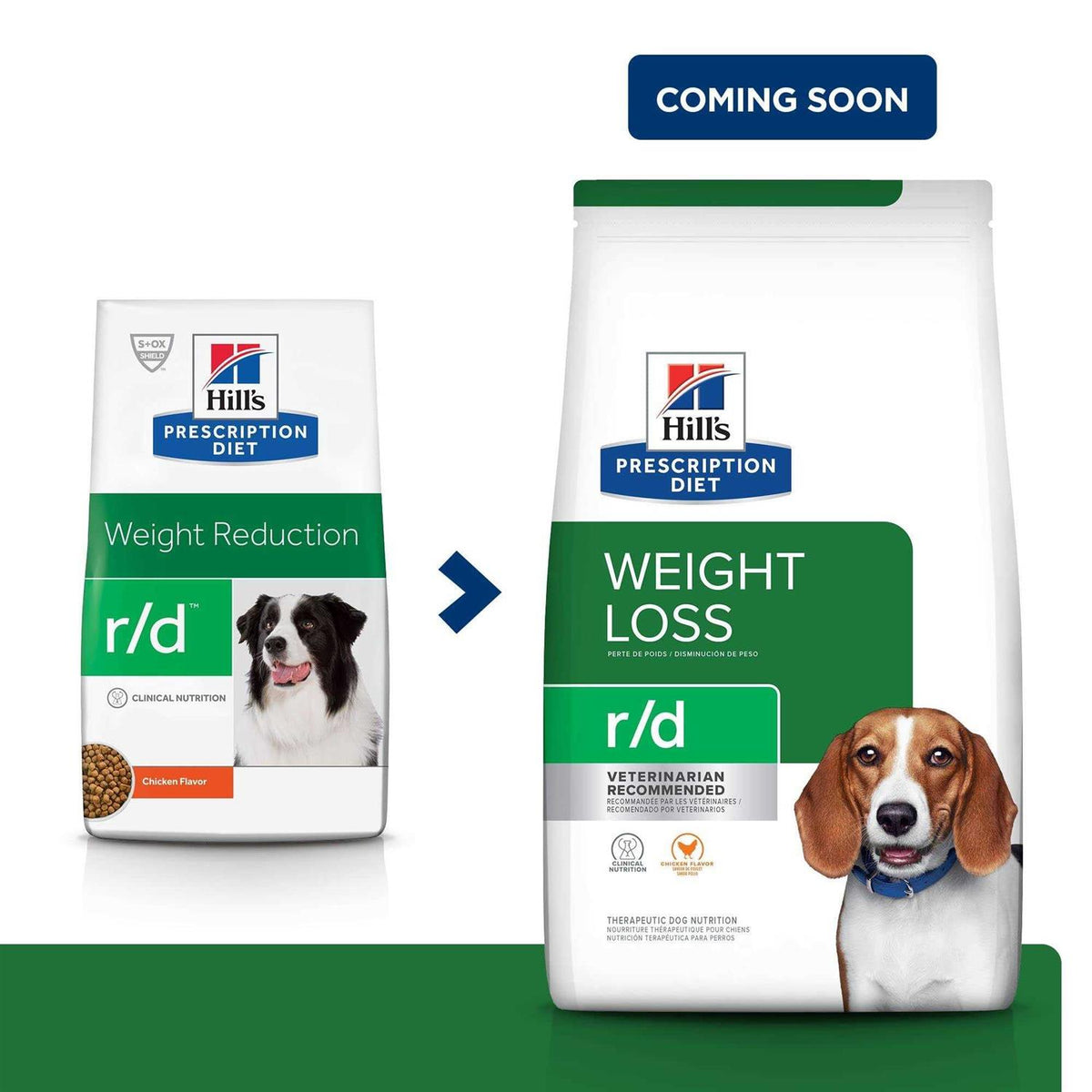 Chicken Flavor Dry Dog Food F6519