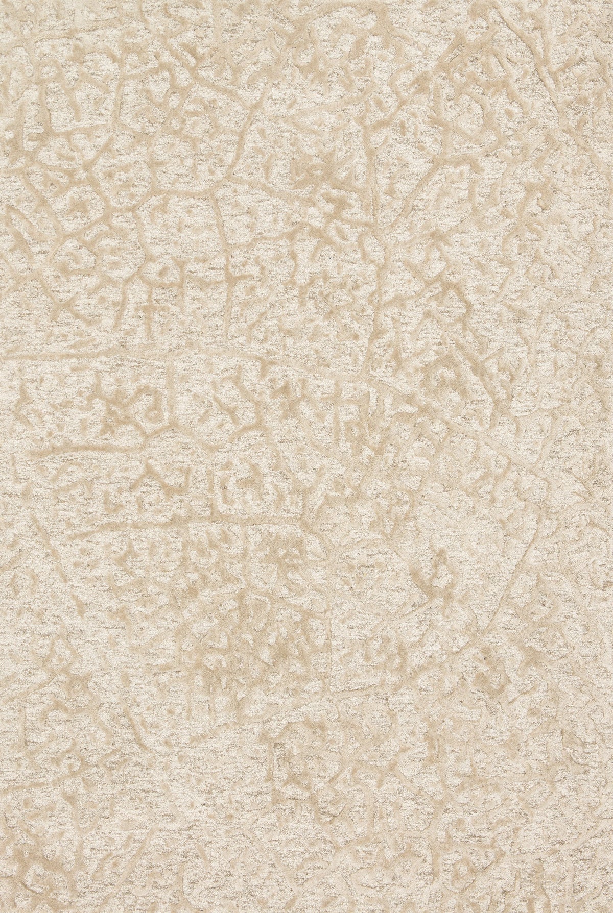Ant Ivory Beige Rug 7'9 x 9'9 T2480