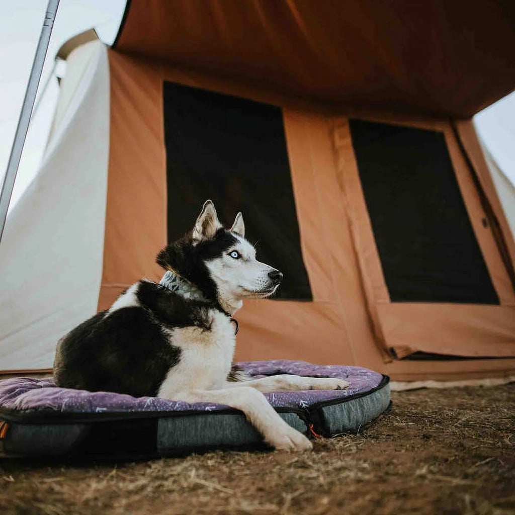 Brown Canvas Cabin Tent 10'x10' for 4 Person Waterproof X751