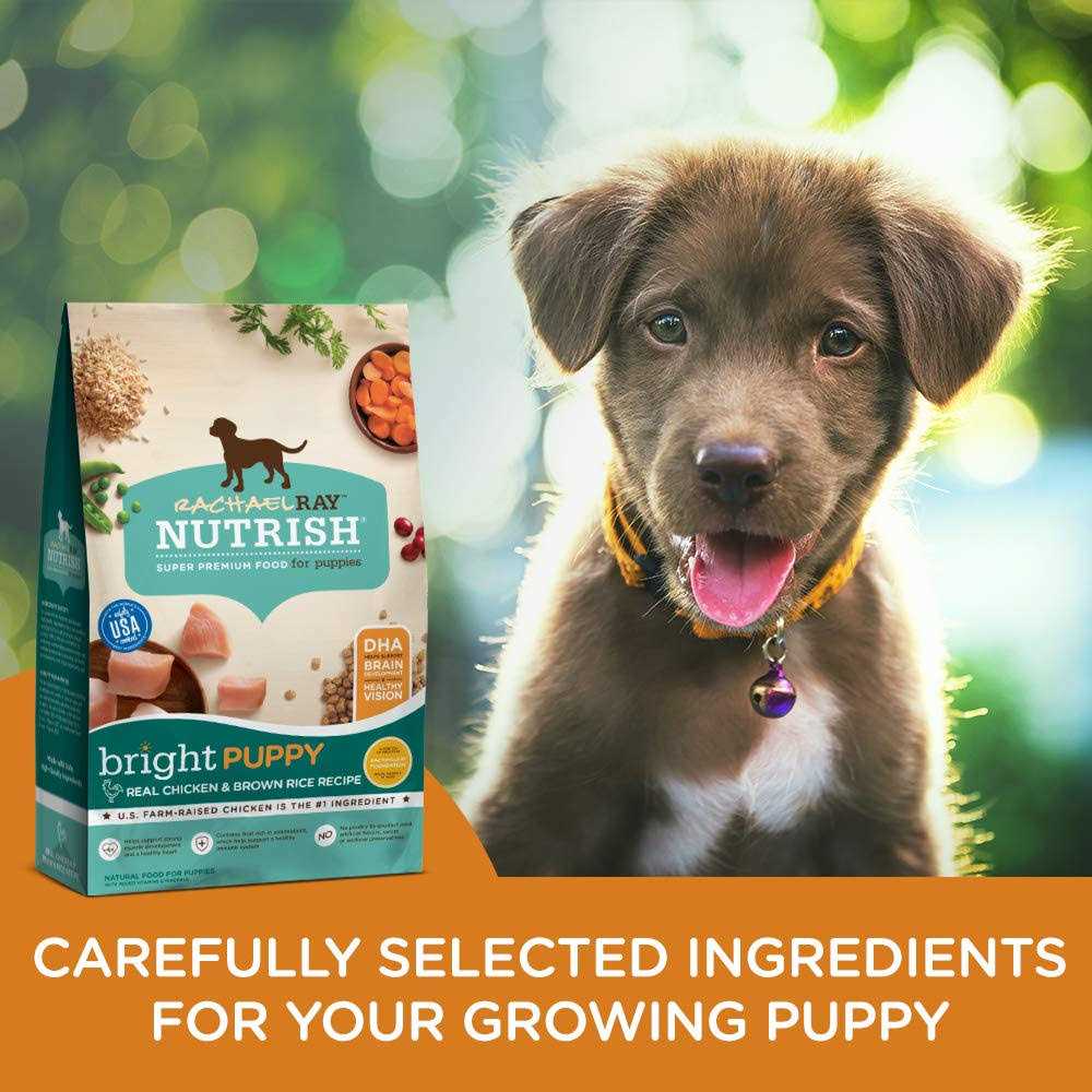 Chicken & Brown Rice Dry Dog Food W53715