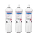 3 Pack Scale Inhibitor Cartridge G756148