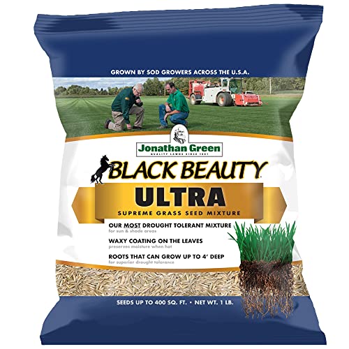 Black Beauty Ultra Grass Seed Cool Season Lawn Seed 25 lb Z1637