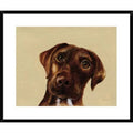 Bright White Framed Print Q2135