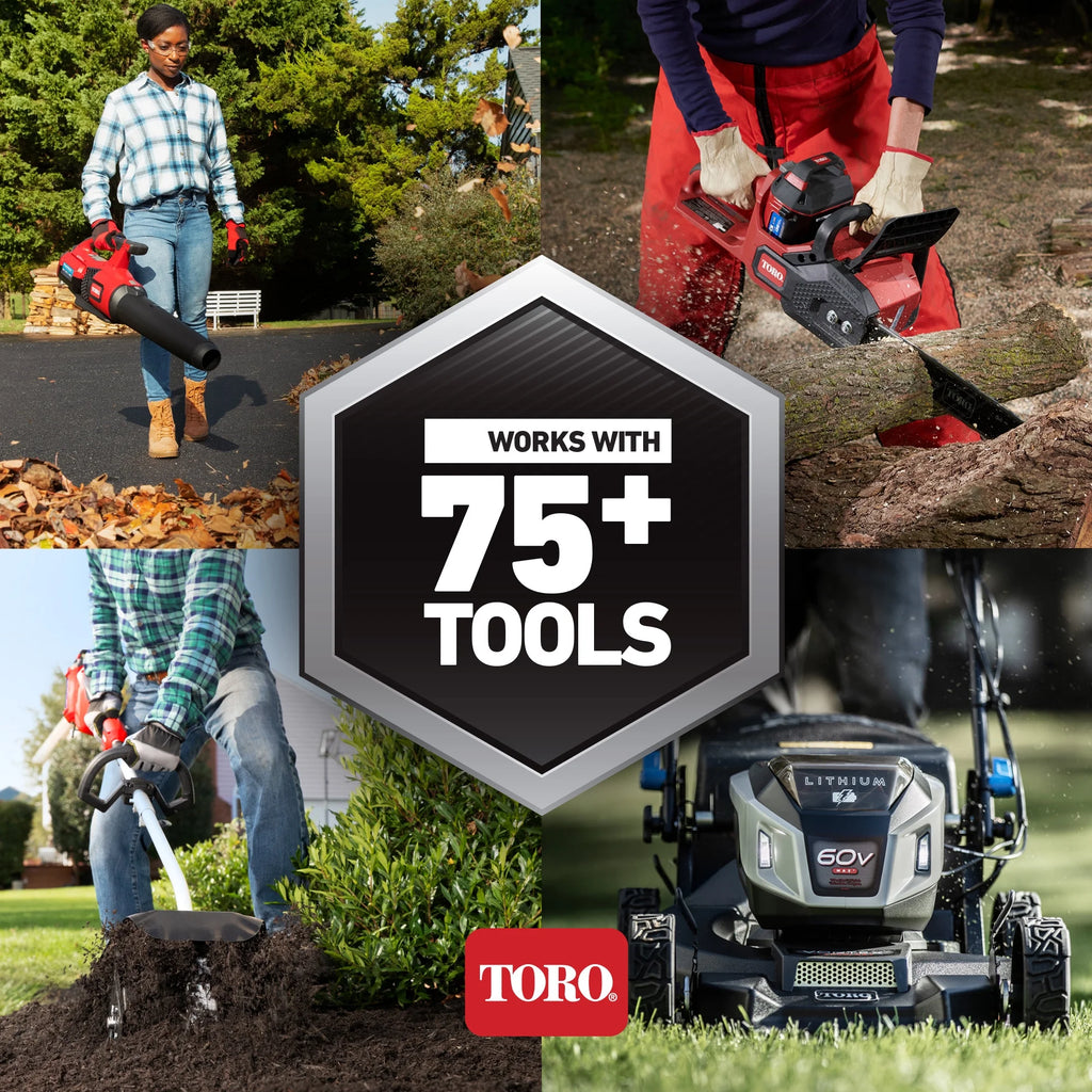 60V Brushless String Trimmer with Battery & Charger Z21388