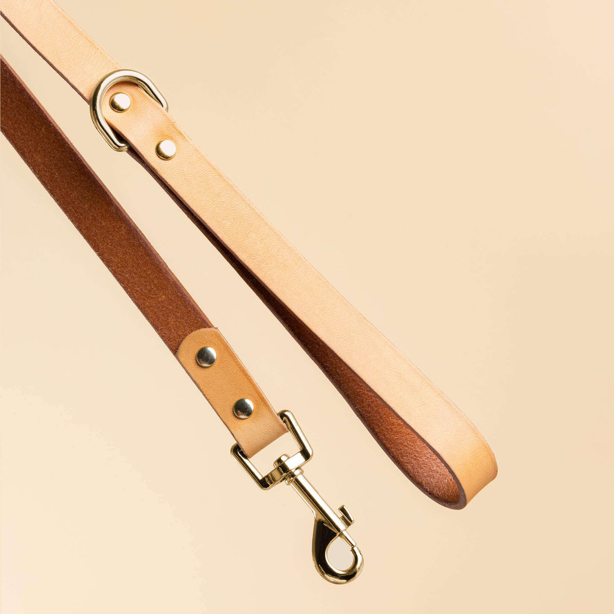 Dog Collar & Leash Set D3415