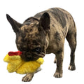 Chicken and Egg Paper Crinkle Squeaker Toys T41921
