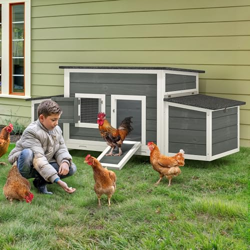 11.5ft² Wooden Chicken Coop with 2 Nesting Boxes U581173
