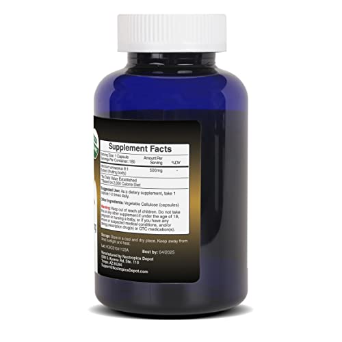 Lions Mane Mushroom Capsules 500mg 60 Count Q64901