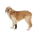 Dog Wrap Large/X-Large H729