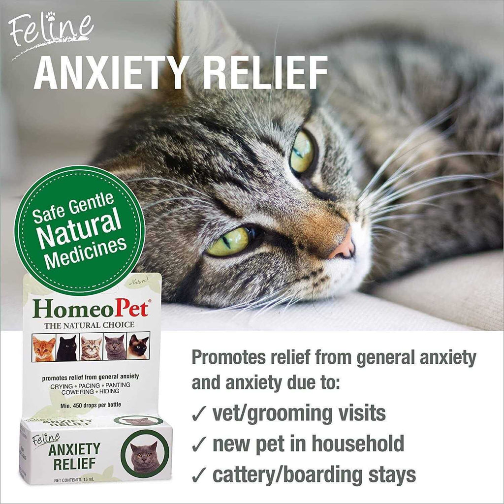 Feline Nose Relief A636