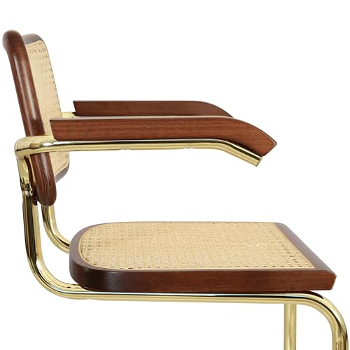 Black Cane Cantilever Armchair with Brass Steel Frame K44475