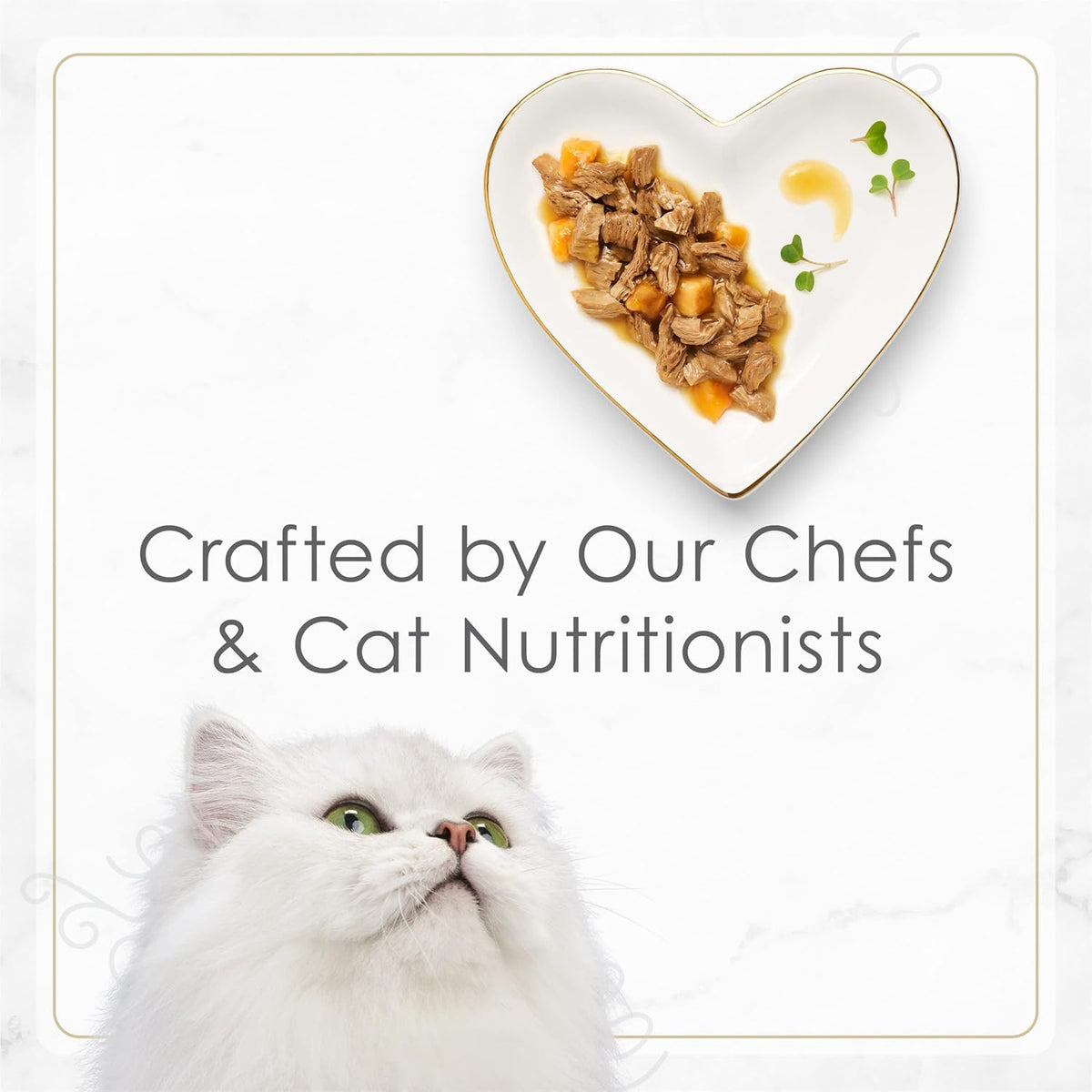 Petites Turkey & Sweet Potato Entree Wet Cat Food, Pack of 12, 2.8 oz. Tubs L630953