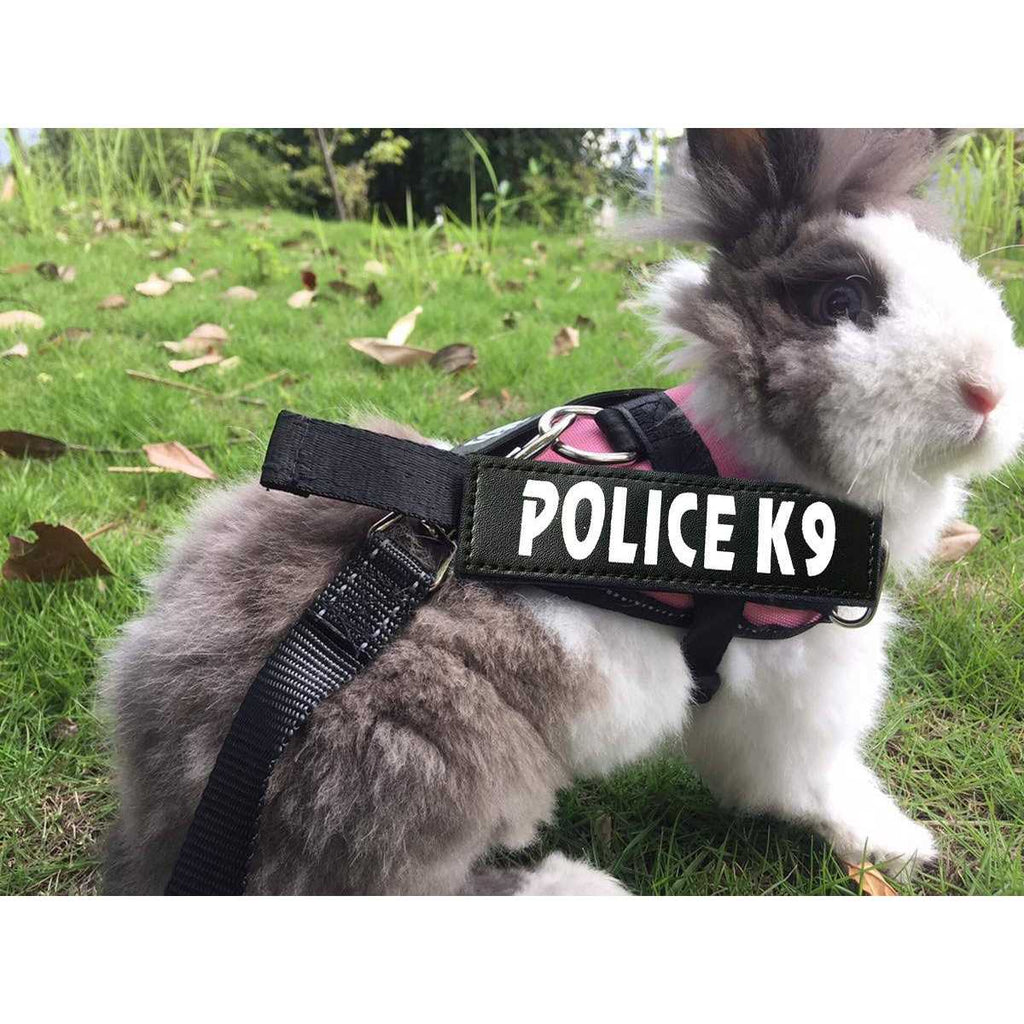 Rabbit Harness with Leash Z394746