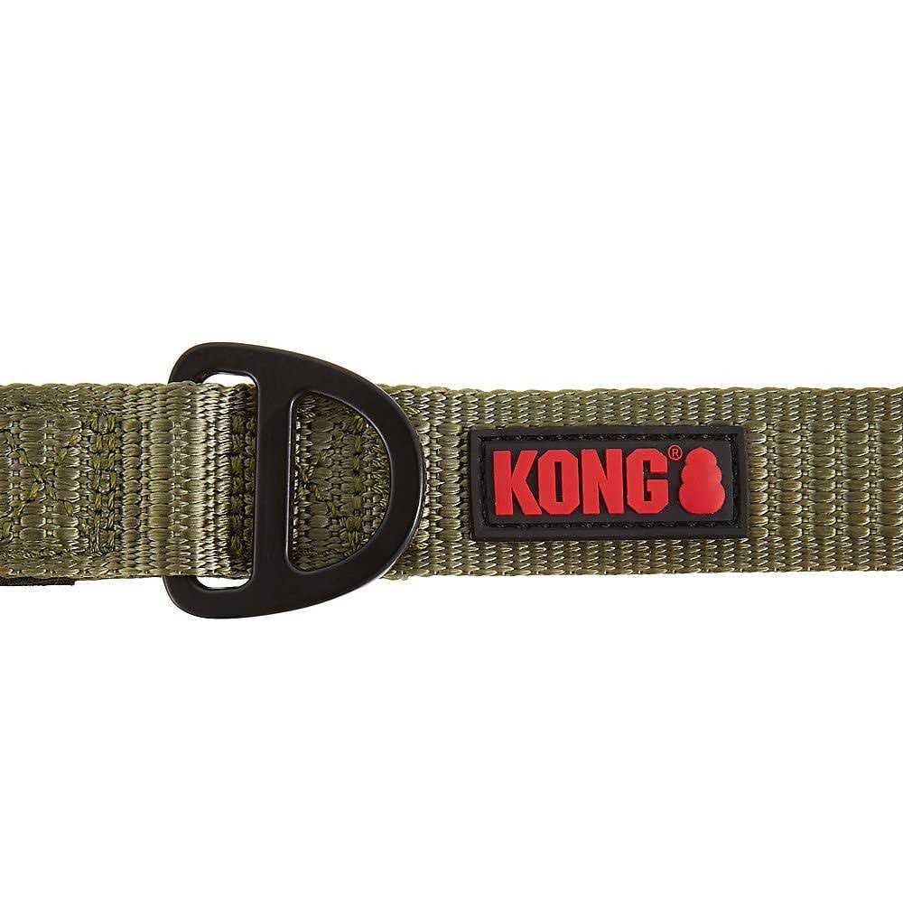 Dog Leash V910