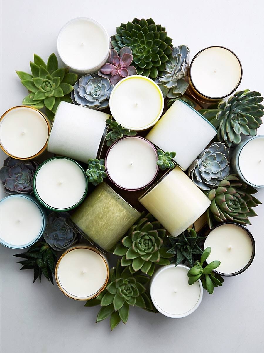 Sage and Walnut Candle - 16 oz O837173