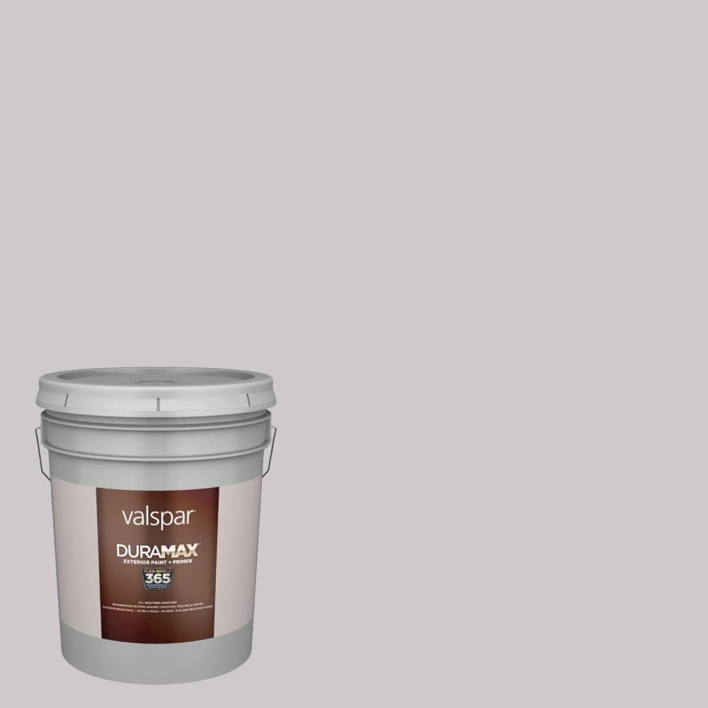 Exterior Paint (5-Gallon) C41654