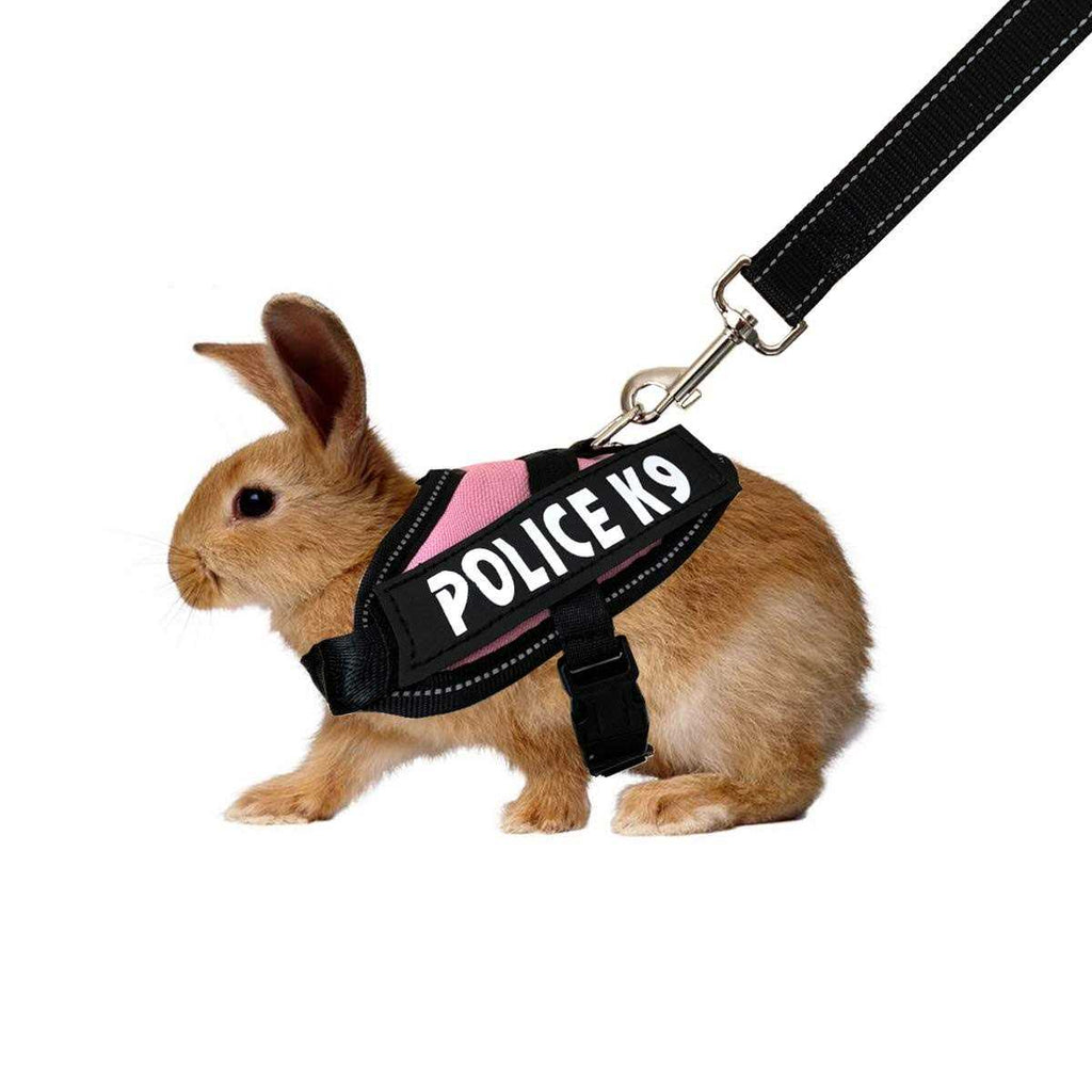 Rabbit Harness with Leash Z394746