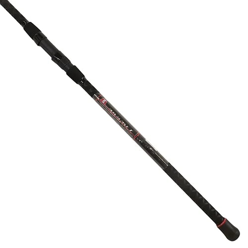 Surf Spinning Fishing Rod Q33019