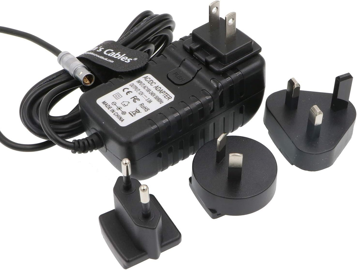Z Cam E2 Power Adapter Cable 4 Pin to Universal AC with US UK EU AU Plugs Pack of 2 B271968