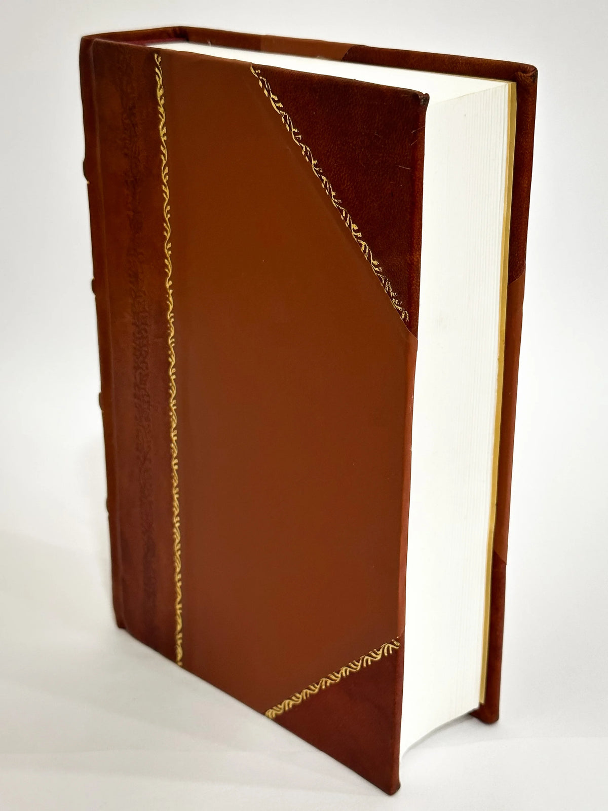 Leather Bound Book Y262281