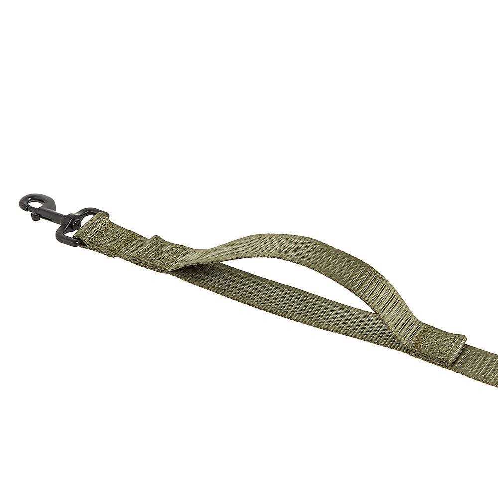 Dog Leash V910