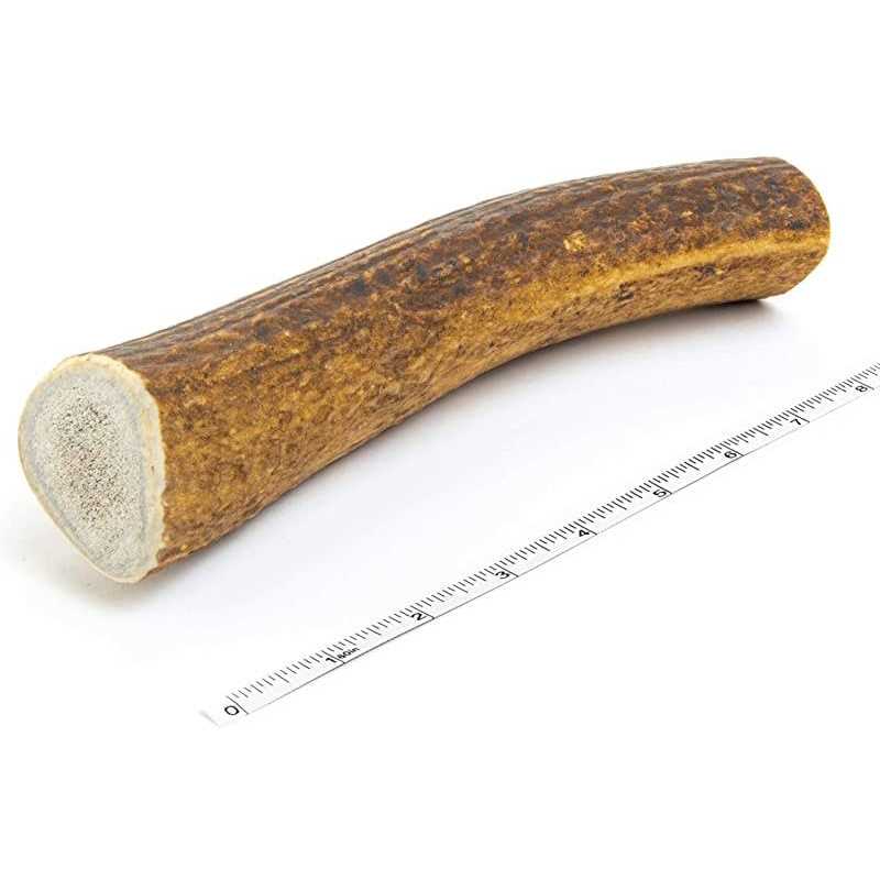 Elk Antler Dog Chew T9539