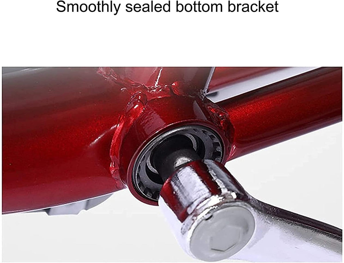 20 Inch Single Speed 3 Wheel Adult Tricycle with Shopping Basket L967