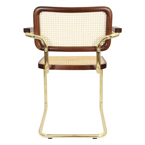 Black Cane Cantilever Armchair with Brass Steel Frame K44475