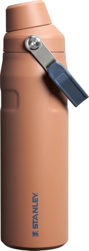 Insulated Stainless Steel Water Bottle with Angled Spout Lid Q9948